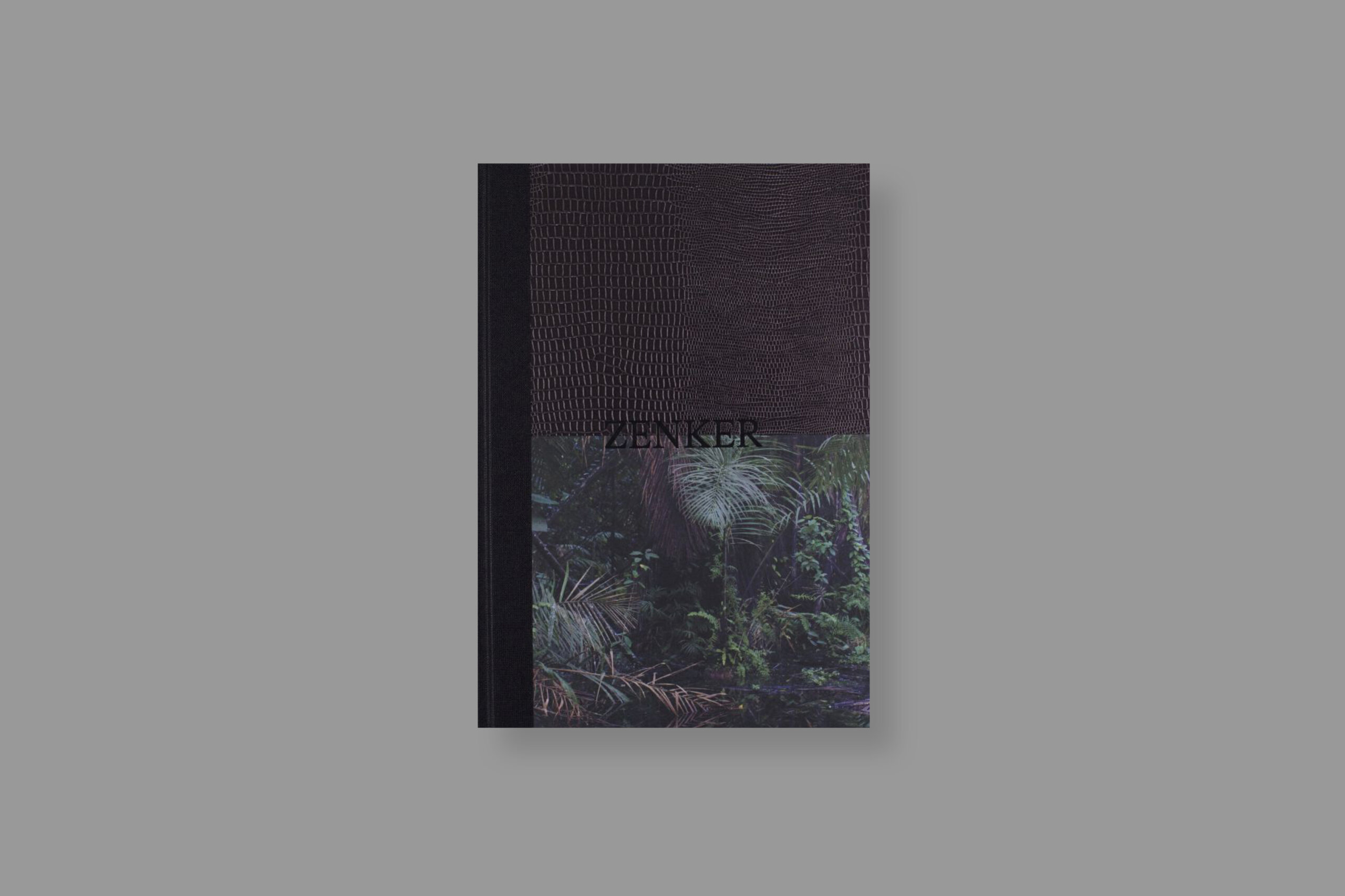 Zenker_Yana-Wernicke_cover