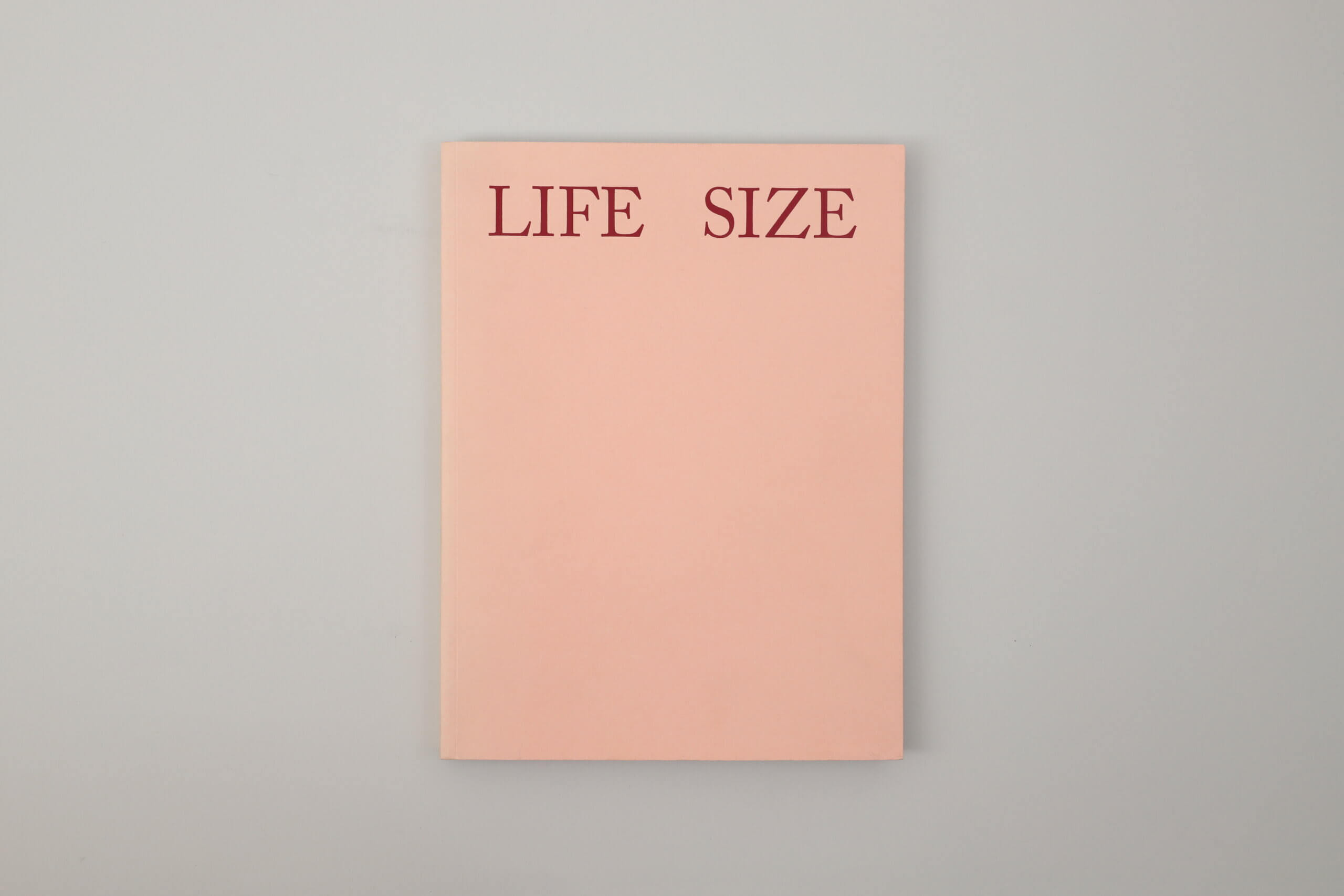 Life-Size-Sam-Falls-Karma-Books-cover
