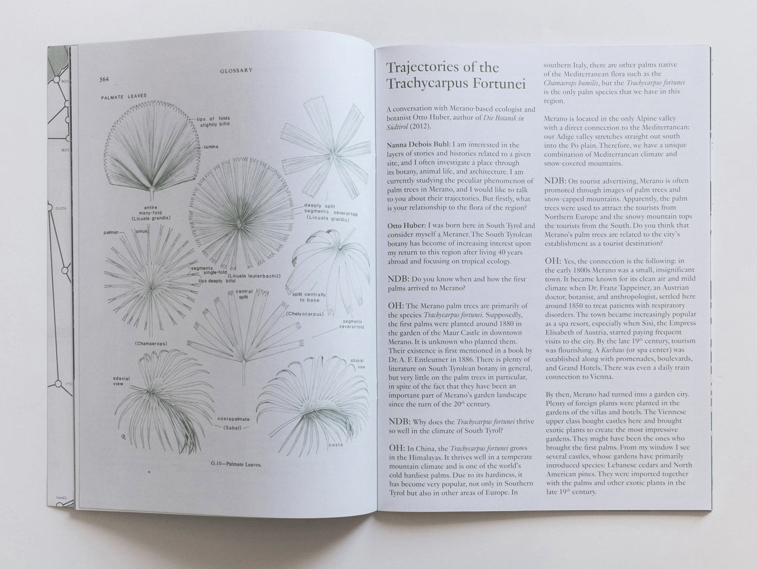 Palm-Tree-Studies-Nanna-Debois-Buhl-Humboldt-Books-visuel-3