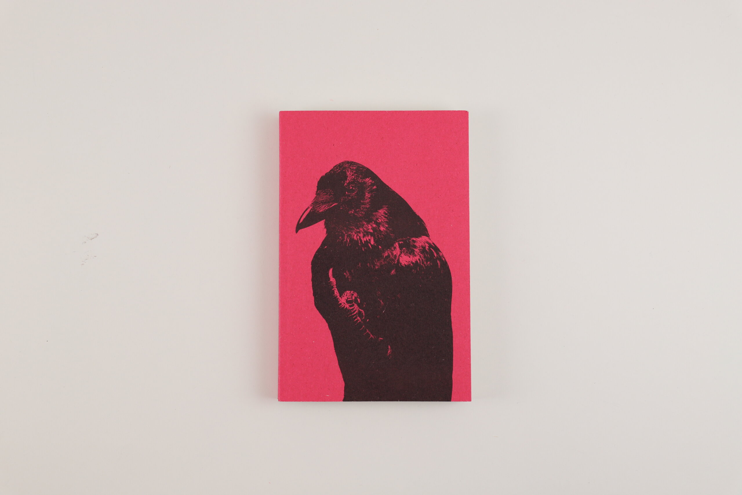 Flipping-the-bird-rik-van-den-bos-fw-books-cover