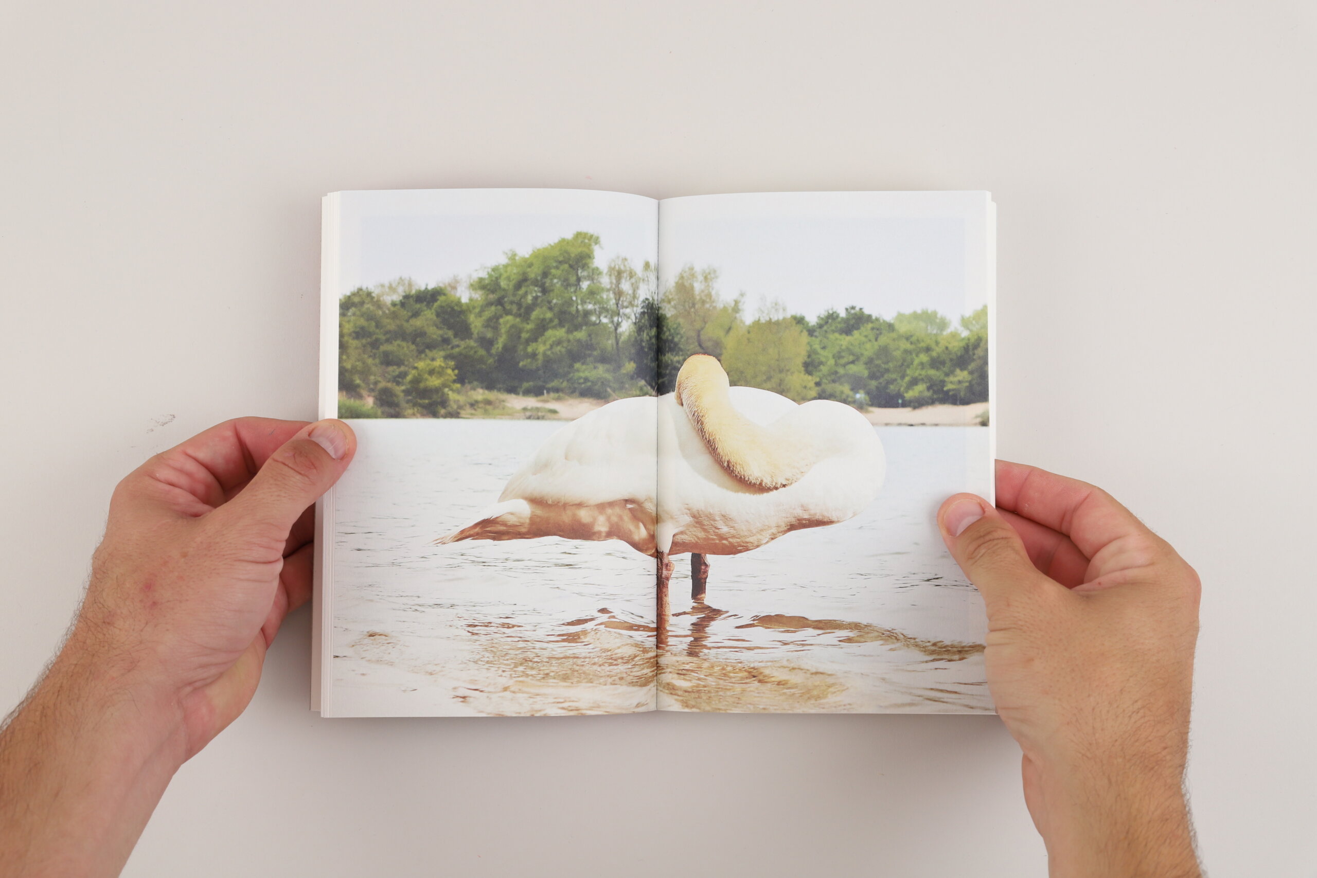 Flipping-the-bird-rik-van-den-bos-fw-books-visuel-2