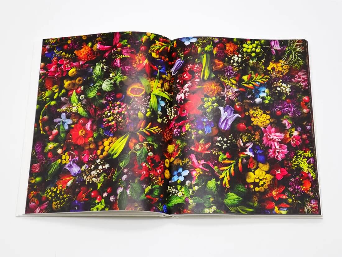 encyclopedia-of-flowers-vol-5-azuma-makoto-seigensha-art-publishing-visuel-1