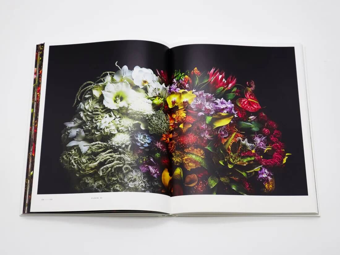 encyclopedia-of-flowers-vol-5-azuma-makoto-seigensha-art-publishing-visuel-2