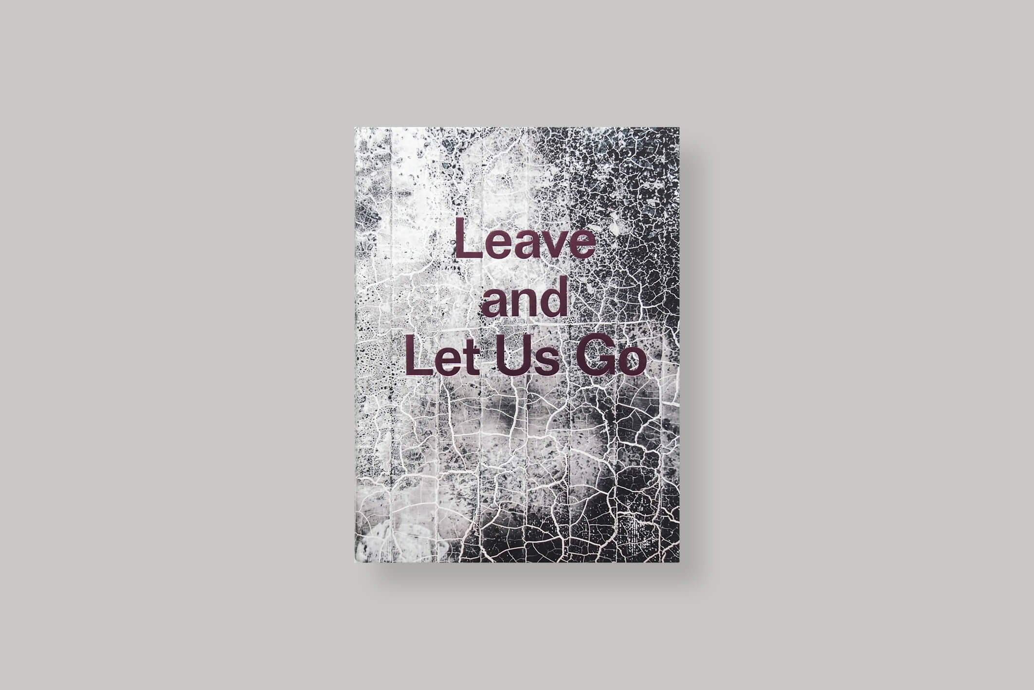 leave-and-let-us-go-alexandra-howland-gost-books-cover
