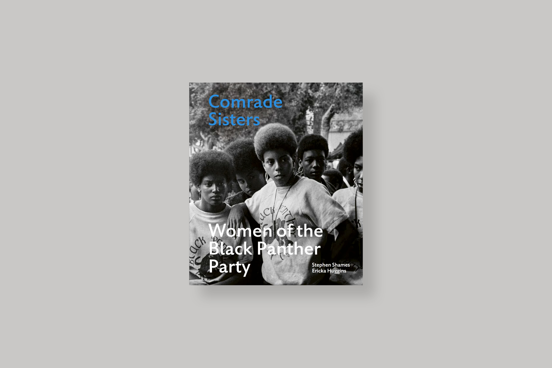 comrade-sisters-women-of-the-black-panther-party-huggins-shames-acc-art-books-cover