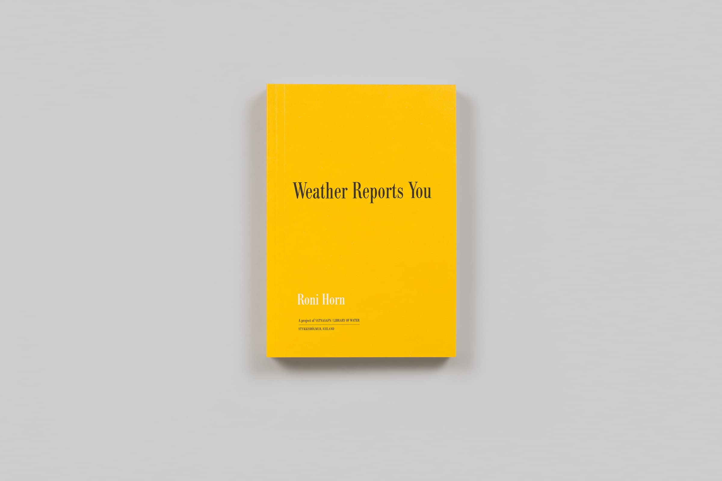 weather-reports-you-horn-steidl-cover