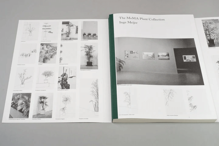 moma-plant-collection-inge-mejer-rome-publications-2
