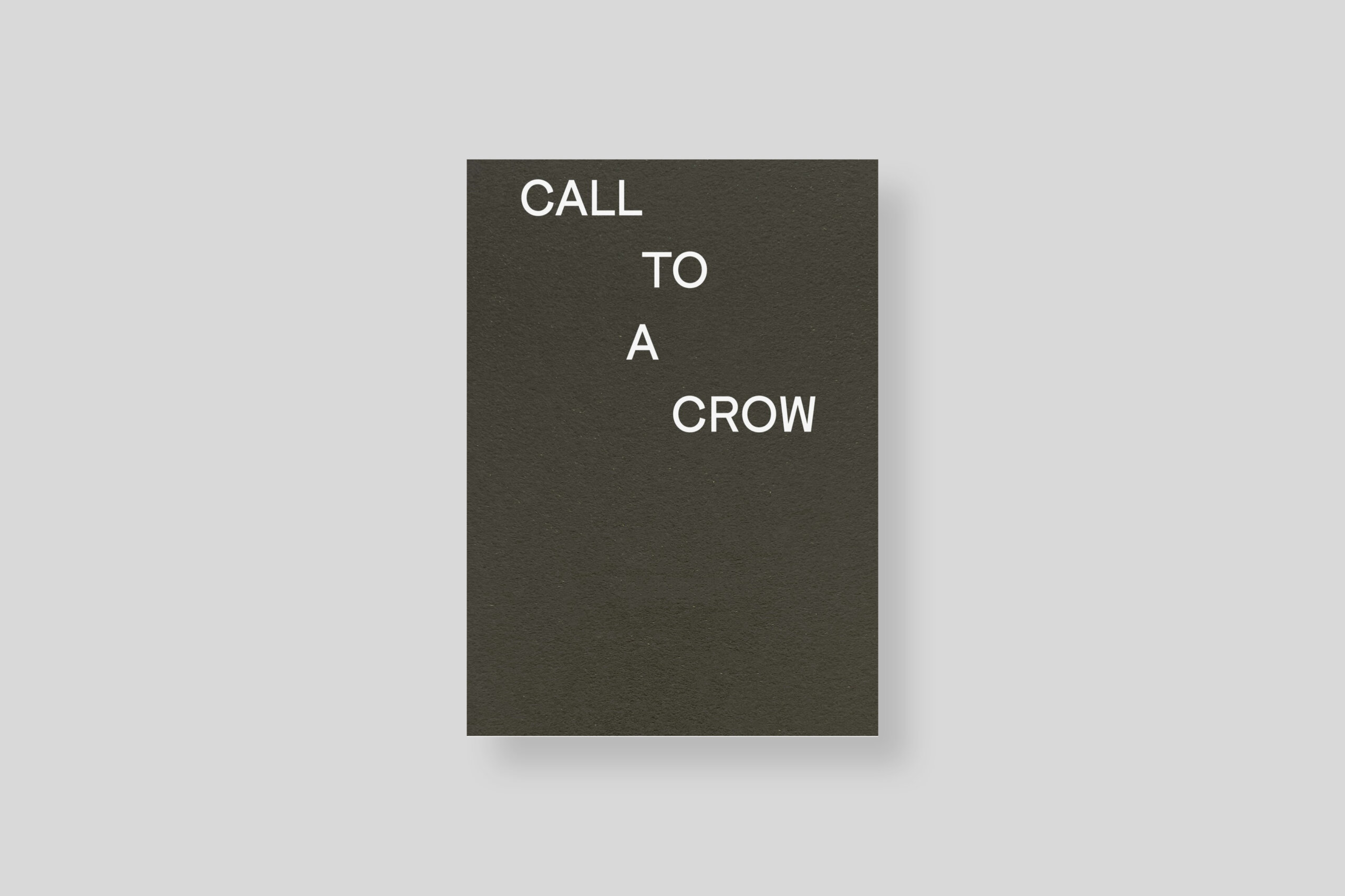 call-to-a-crow-david-horvitz-cover