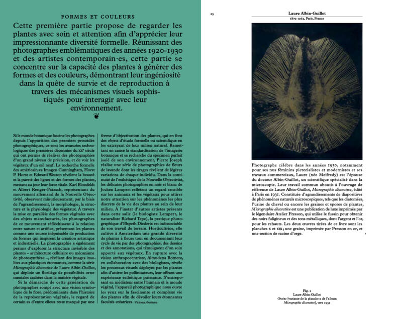 science-ficyion-une-non-histoire-des-plantes-spector-2