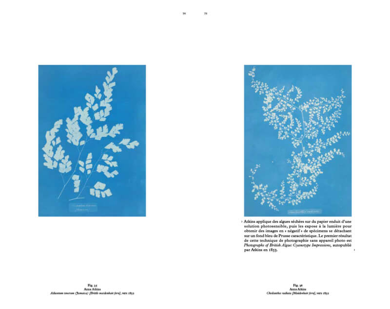 science-ficyion-une-non-histoire-des-plantes-spector-4