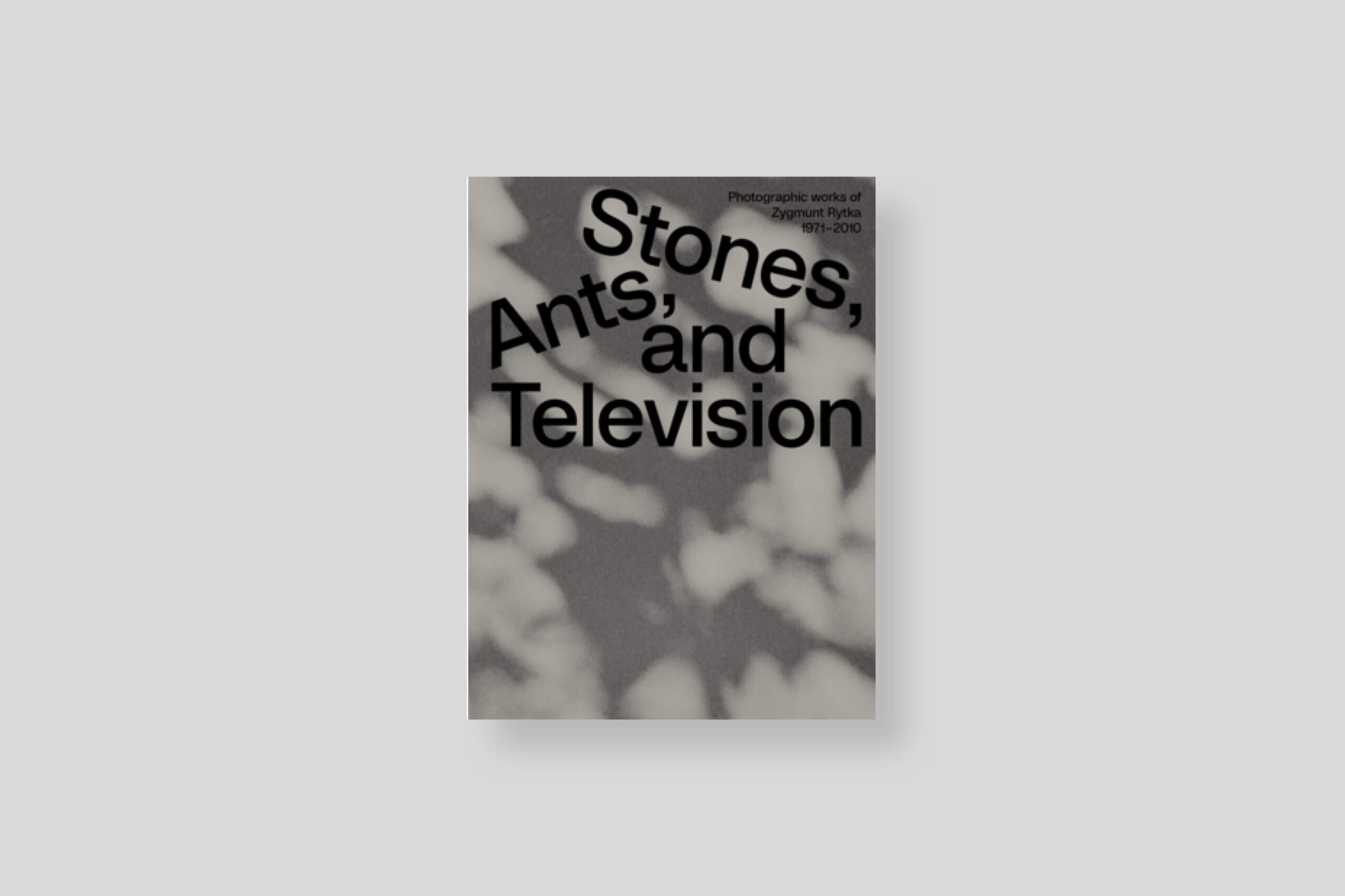 stones-ants-and-television-spector-cover