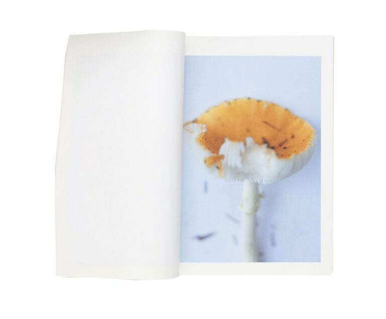 island-islets-and-their-mushrooms-takashi-homma-1