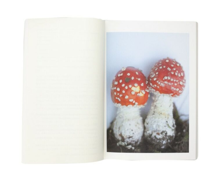 island-islets-and-their-mushrooms-takashi-homma-3