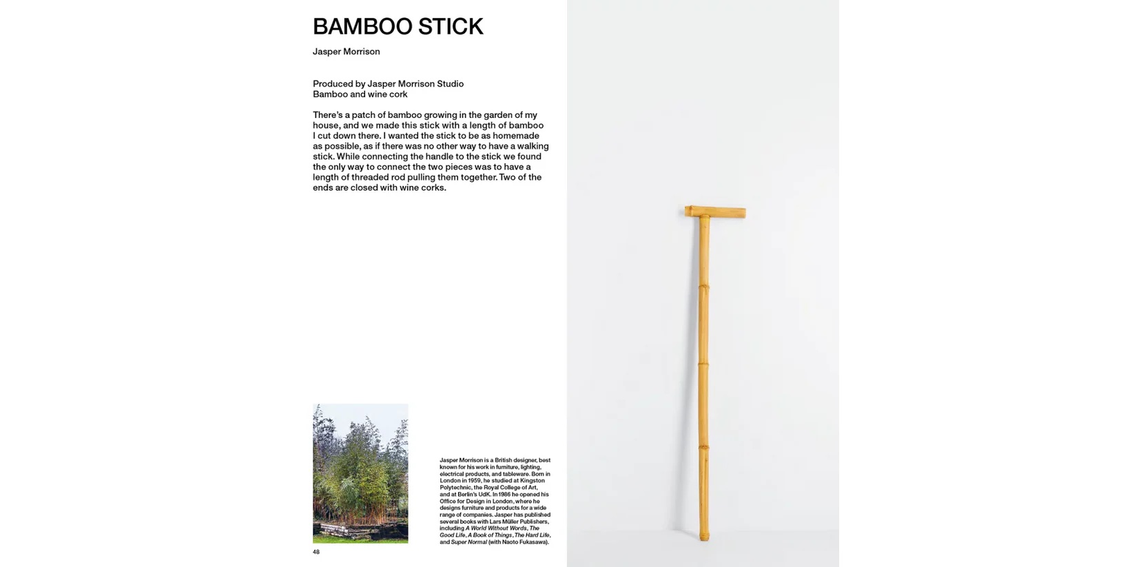 walking-sticks-takeuchi-2