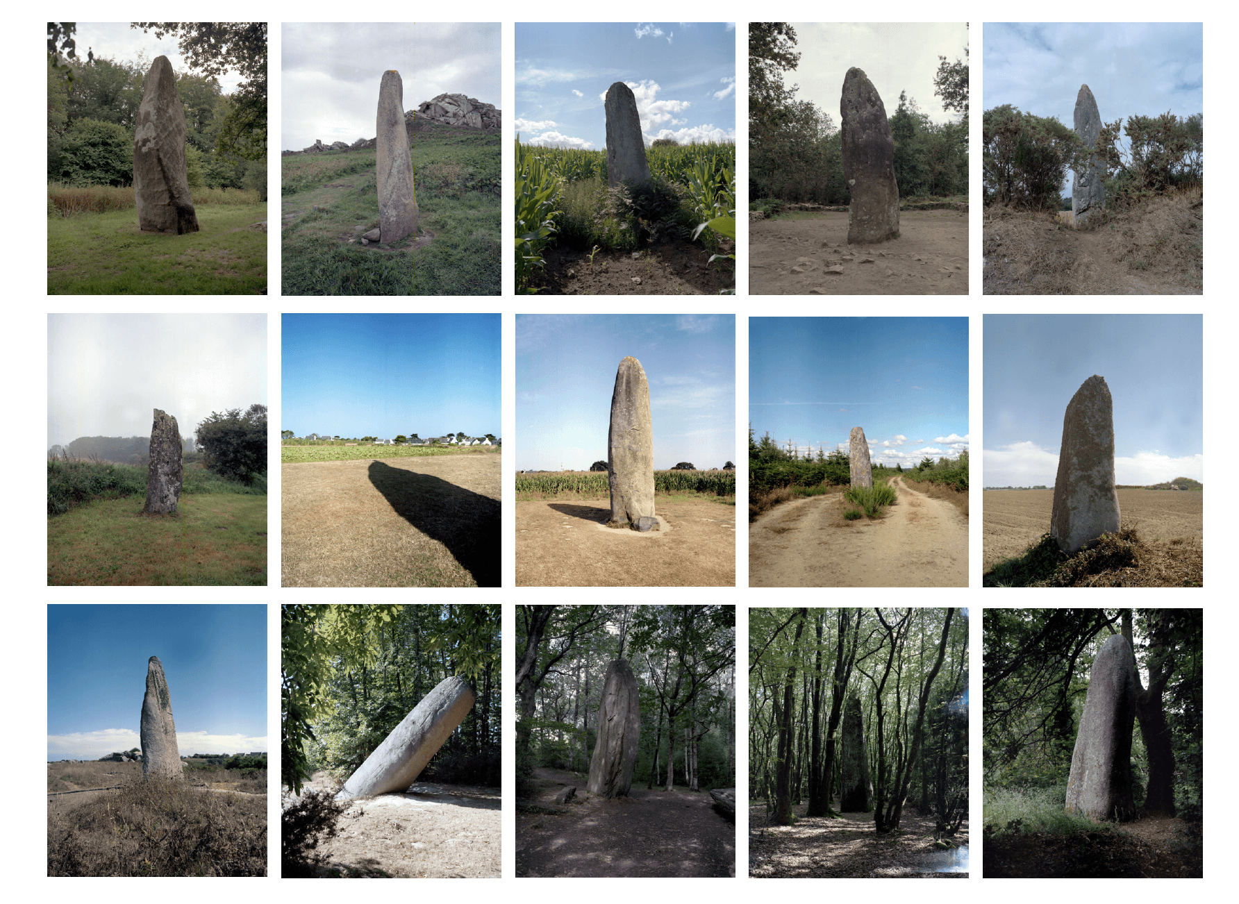 menhirs-feuille-de-salle